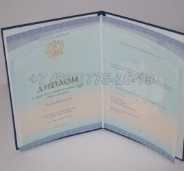 Диплом Техникума 2023г СпецБланк в Екатеринбурге