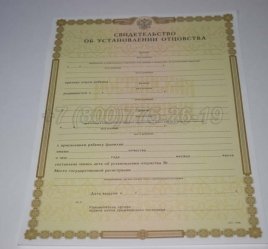Свидетельство об Установлении Отцовства 2018г в Екатеринбурге