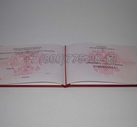 Диплом Кандидата Наук 2014г в Екатеринбурге