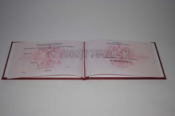 Диплом Кандидата Наук 2014г в Екатеринбурге