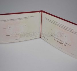 Диплом Кандидата Наук 2017г в Екатеринбурге
