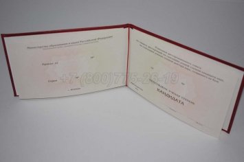 Диплом Кандидата Наук 2017г в Екатеринбурге