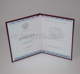 Аттестат За 11 Класс 2024г Золото ГОЗНАК в Екатеринбурге