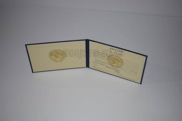 Диплом Техникума Советского Союза 1994г в Екатеринбурге
