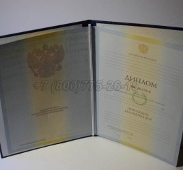 Диплом Института 2010г в Екатеринбурге