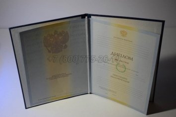 Диплом Института 2010г в Екатеринбурге