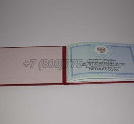 Аттестат Профессора 2020г в Екатеринбурге