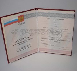 Аттестат За 11 Класс 2012г Серебро в Екатеринбурге
