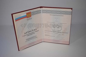 Аттестат За 11 Класс 2012г Серебро в Екатеринбурге