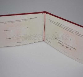 Диплом Кандидата Наук 2023г в Екатеринбурге