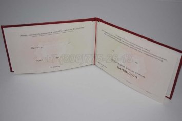 Диплом Кандидата Наук 2023г в Екатеринбурге