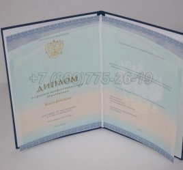 Диплом Техникума 2022г СпецБланк в Екатеринбурге