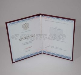 Аттестат За 11 Класс 2022г Золото ГОЗНАК в Екатеринбурге