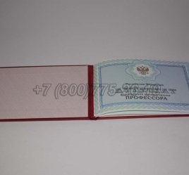 Аттестат Профессора 2023г в Екатеринбурге