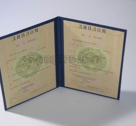 Диплом о Высшем Образовании Украинской ССР в Екатеринбурге
